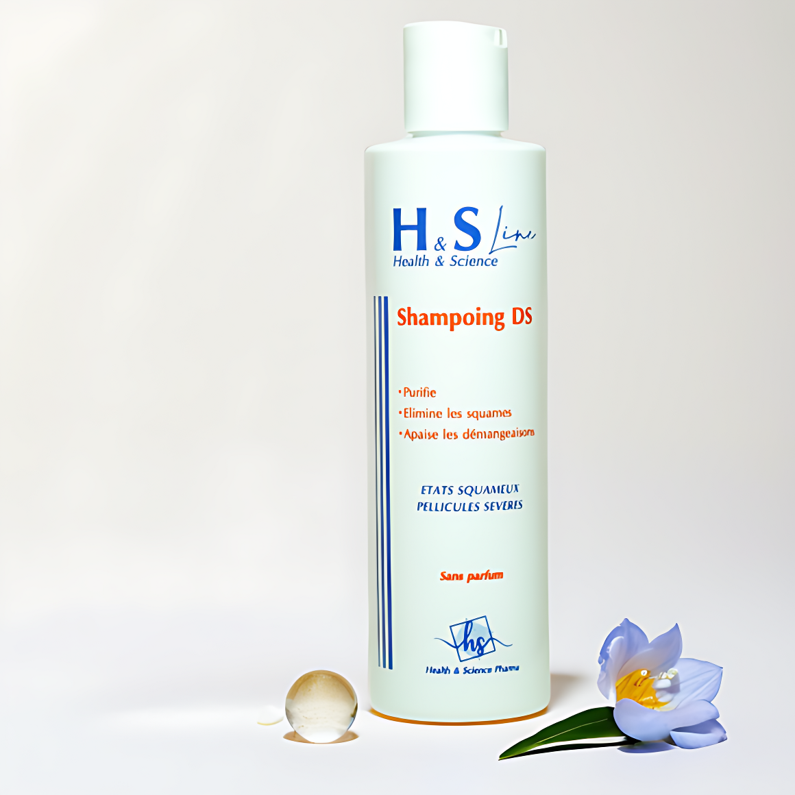 GiftPara Shampoing DS 2